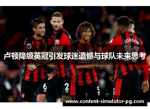 卢顿降级英冠引发球迷遗憾与球队未来思考 卢顿降级英冠引发球迷遗憾与球队未来思考